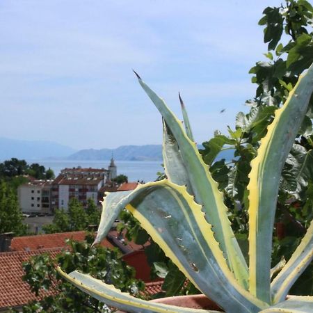 Central House Nona Crikvenica Eksteriør bilde
